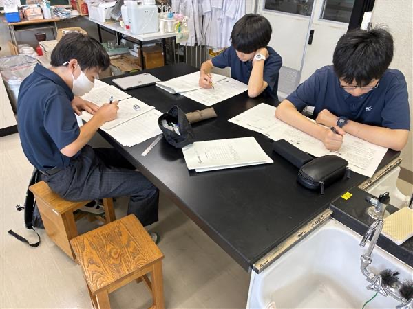 画像 -20260731-025850-55db51a9_7848